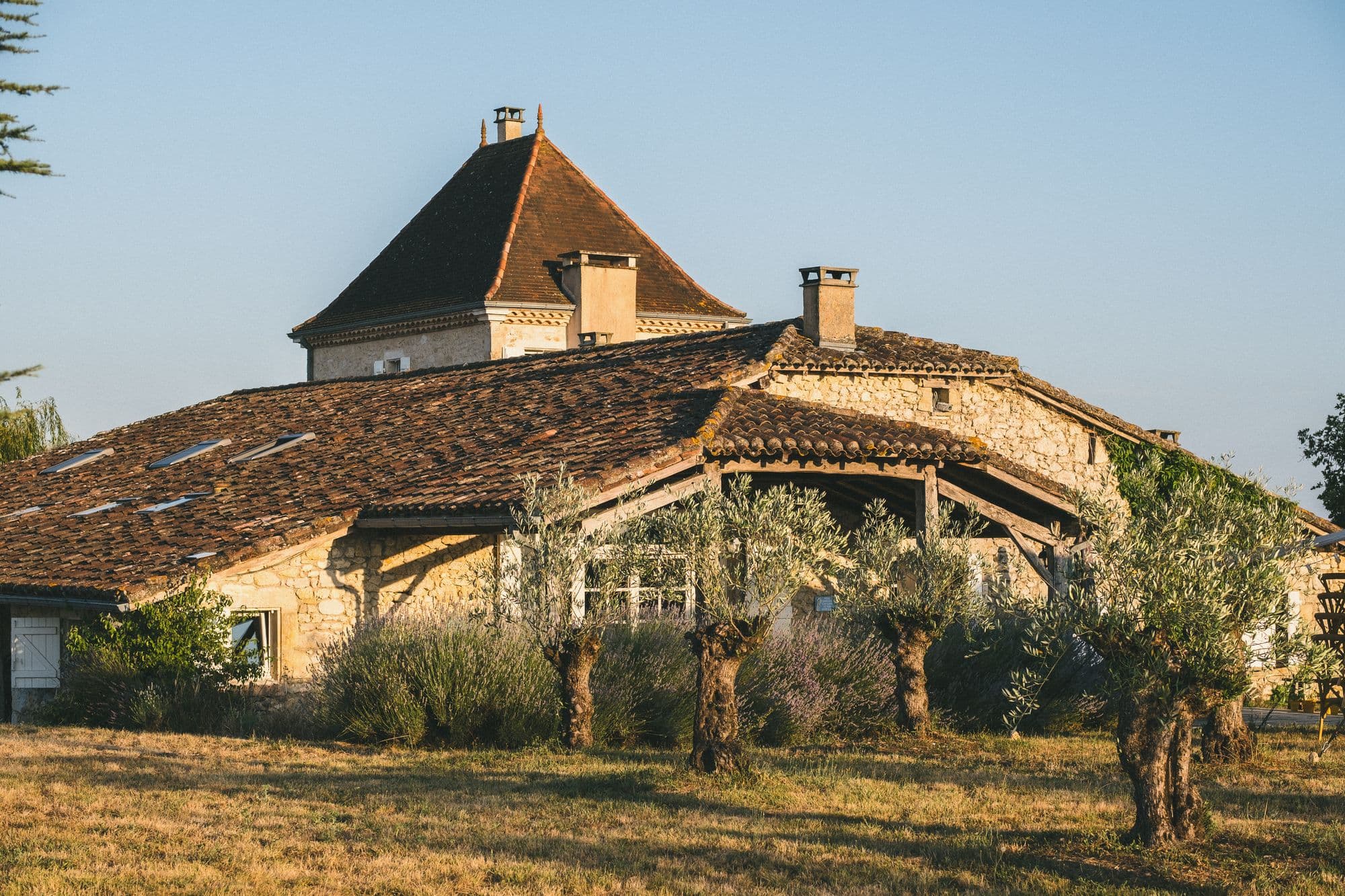 The stone farmhouse at En Bosc in late afternoon light, olive trees in the foreground and open farmland beyond