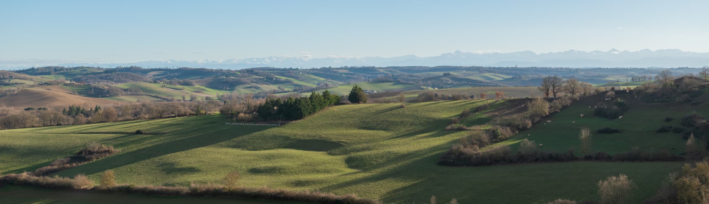 Wide panorama of rolling Gers farmland, hedgerows and copses folding away to a hazy horizon