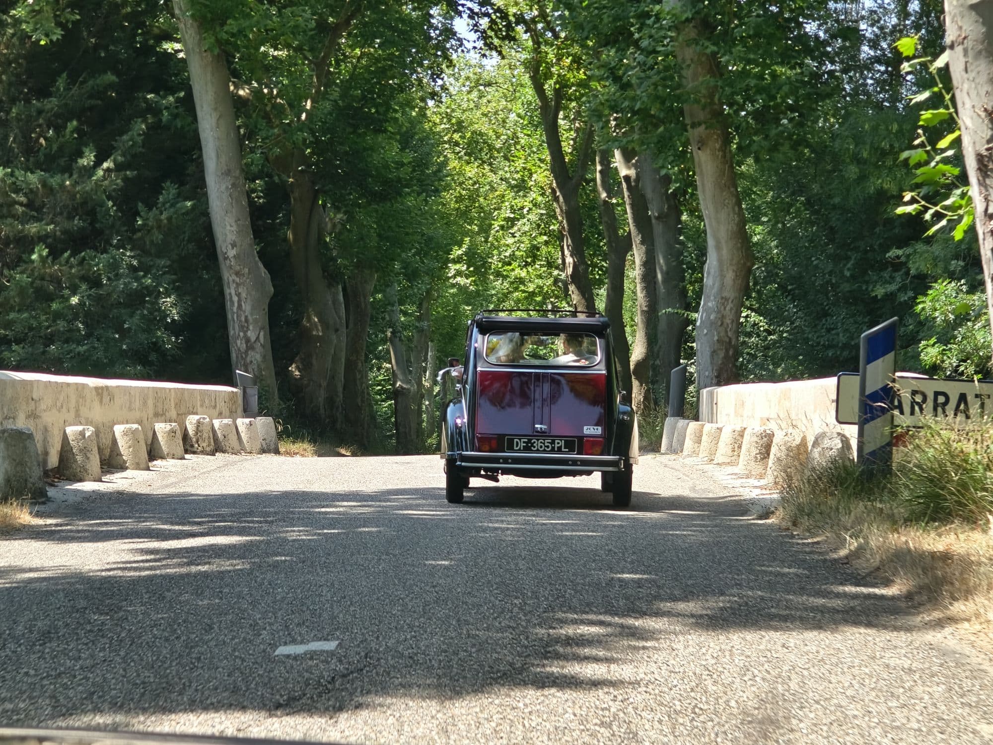 A vintage car driving down an avenue of plane trees
